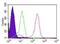 Inhibitor Of Nuclear Factor Kappa B Kinase Regulatory Subunit Gamma antibody, GTX12141, GeneTex, Flow Cytometry image 