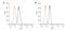 Dynamin 1 antibody, NB110-60491, Novus Biologicals, Flow Cytometry image 