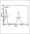 ST8 Alpha-N-Acetyl-Neuraminide Alpha-2,8-Sialyltransferase 4 antibody, PA5-26774, Invitrogen Antibodies, Flow Cytometry image 