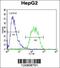 BUD13 Homolog antibody, 55-399, ProSci, Immunofluorescence image 