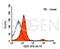 CD37 Molecule antibody, 691578, Progen Biotechnik GmbH, Flow Cytometry image 