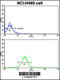 Cadherin 10 antibody, 58-021, ProSci, Flow Cytometry image 