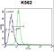 Potassium Voltage-Gated Channel Subfamily H Member 2 antibody, LS-C165420, Lifespan Biosciences, Flow Cytometry image 