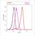 Tubulin Alpha 1a antibody, MA1-80017, Invitrogen Antibodies, Flow Cytometry image 