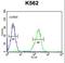 Chloride Intracellular Channel 6 antibody, LS-C168840, Lifespan Biosciences, Flow Cytometry image 