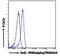 Par-6 Family Cell Polarity Regulator Alpha antibody, 46-130, ProSci, Flow Cytometry image 