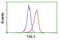 TAL BHLH Transcription Factor 1, Erythroid Differentiation Factor antibody, LS-C173507, Lifespan Biosciences, Flow Cytometry image 