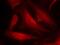 Cell Division Cycle 25C antibody, GTX50689, GeneTex, Immunofluorescence image 