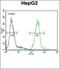 Aldose reductase antibody, orb216011, Biorbyt, Flow Cytometry image 