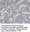 Diablo IAP-Binding Mitochondrial Protein antibody, MBS415472, MyBioSource, Immunohistochemistry frozen image 