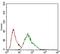 Melanoma Cell Adhesion Molecule antibody, NBP2-37365, Novus Biologicals, Flow Cytometry image 
