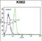 Tyrosine-protein phosphatase non-receptor type 20 antibody, PA5-48277, Invitrogen Antibodies, Flow Cytometry image 