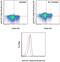 Signal Transducer And Activator Of Transcription 5A antibody, 61-9010-42, Invitrogen Antibodies, Flow Cytometry image 