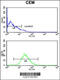 Heat Shock Protein Family A (Hsp70) Member 6 antibody, 63-604, ProSci, Flow Cytometry image 