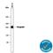 Neogenin 1 antibody, AF1079, R&D Systems, Western Blot image 