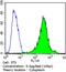 BCL2 Related Protein A1 antibody, MA5-11757, Invitrogen Antibodies, Flow Cytometry image 