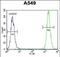 E3 ubiquitin-protein ligase TRIM9 antibody, PA5-71588, Invitrogen Antibodies, Flow Cytometry image 