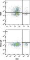 T Cell Immunoreceptor With Ig And ITIM Domains antibody, FAB7267G, R&D Systems, Flow Cytometry image 