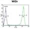 Glucuronidase Beta antibody, abx034334, Abbexa, Flow Cytometry image 