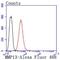 Matrix Metallopeptidase 13 antibody, NBP2-66954, Novus Biologicals, Flow Cytometry image 