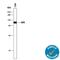 CD5 Molecule antibody, AF1636, R&D Systems, Western Blot image 