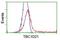 TBC1 Domain Family Member 21 antibody, NBP2-01311, Novus Biologicals, Flow Cytometry image 