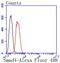 SMAD Family Member 4 antibody, NBP2-67372, Novus Biologicals, Flow Cytometry image 