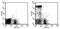 Lymphocyte antigen 6G antibody, 15-5931-81, Invitrogen Antibodies, Flow Cytometry image 