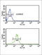 Methylenetetrahydrofolate Dehydrogenase (NADP+ Dependent) 2, Methenyltetrahydrofolate Cyclohydrolase antibody, abx033352, Abbexa, Flow Cytometry image 