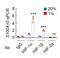 HIF1-alpha antibody, NB100-479, Novus Biologicals, Immunoprecipitation image 