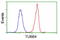 Tubulin Beta 4A Class IVa antibody, LS-C173086, Lifespan Biosciences, Flow Cytometry image 