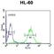 Cbl Proto-Oncogene B antibody, abx034055, Abbexa, Western Blot image 