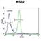 Ankyrin Repeat Domain 52 antibody, abx025920, Abbexa, Flow Cytometry image 