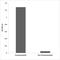 PEAK1 Related, Kinase-Activating Pseudokinase 1 antibody, LS-C291520, Lifespan Biosciences, Enzyme Linked Immunosorbent Assay image 