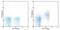 5'-Nucleotidase Ecto antibody, 14-0731-81, Invitrogen Antibodies, Flow Cytometry image 