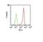 CD46 Molecule antibody, NBP2-44670, Novus Biologicals, Flow Cytometry image 