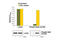 Beta-Actin antibody, 7880S, Cell Signaling Technology, Enzyme Linked Immunosorbent Assay image 