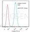 CD70 Molecule antibody, 691601, Progen Biotechnik GmbH, Enzyme Linked Immunosorbent Assay image 