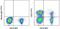 CD27 Molecule antibody, 11-0279-42, Invitrogen Antibodies, Flow Cytometry image 