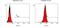 C-C Motif Chemokine Receptor 2 antibody, PA5-23043, Invitrogen Antibodies, Flow Cytometry image 