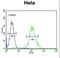 Cyclin G1 antibody, LS-C168472, Lifespan Biosciences, Flow Cytometry image 