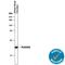 Phospholipase A2 Group IIA antibody, AF4925, R&D Systems, Western Blot image 