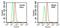 DNA damage-binding protein 1 antibody, NBP2-27207, Novus Biologicals, Flow Cytometry image 