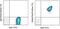 Glycoprotein V Platelet antibody, 46-0421-82, Invitrogen Antibodies, Flow Cytometry image 