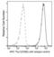 Thy-1 Cell Surface Antigen antibody, 16897-MM10-A, Sino Biological, Flow Cytometry image 