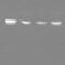 Myosin IB antibody, NBP1-87739, Novus Biologicals, Western Blot image 