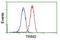 Tripartite Motif Containing 2 antibody, NBP2-02928, Novus Biologicals, Flow Cytometry image 