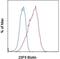 Late Inflammatory Macrophages antibody, 13-0115-82, Invitrogen Antibodies, Flow Cytometry image 