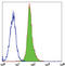 Low affinity immunoglobulin gamma Fc region receptor III antibody, orb248893, Biorbyt, Flow Cytometry image 