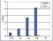 Histone Cluster 4 H4 antibody, NBP2-59241, Novus Biologicals, Chromatin Immunoprecipitation image 